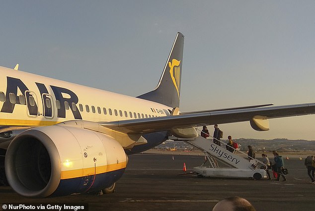 The in-flight ordeal lasted about an hour, according to Wilson, who said it was incredible that the man was allowed to leave the plane when it landed in Lanzarote without being arrested (file image)