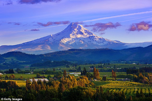 Mount Hood National Forest spokeswoman Raven Reese told KOIN 6 that sightings of Rocky Mountain goats on Mount Hood are rarely confirmed as true.