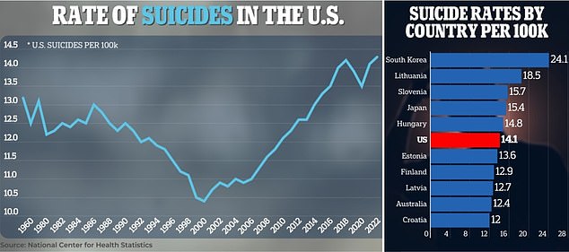 A report released last week found that the United States has the sixth-highest suicide rate in the world.