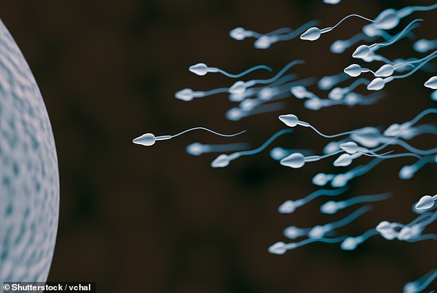 According to the World Health Organization, about half of all infertility cases are due to men. Semen analysis is considered essential for diagnosing male infertility, but is not available in medical institutions other than those specializing in infertility treatment (file photo)