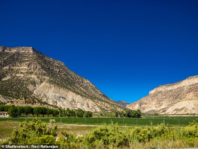 The elderly woman disappeared after walking her dog near her family's cabin in Joe's Valley, Emery County.