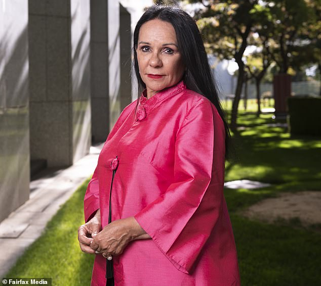 Critics have been demanding that Indigenous Minister Linda Burney show more leadership on issues affecting Alice Springs or resign.