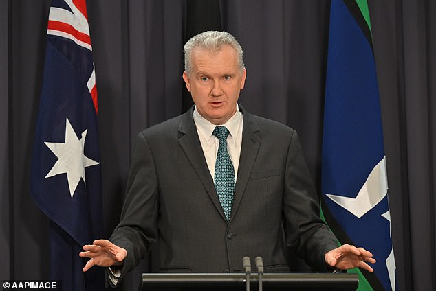 Tony Burke (pictured) received Ms O'Neil's wallet, along with three other people.