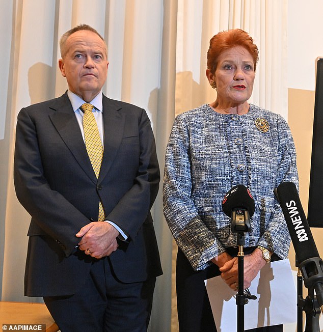 Bill Shorten formed an unlikely alliance with Pauline Hanson over the NDIS on Wednesday (pictured together)