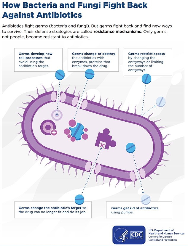 The above shows how a bacteria or fungus can fight off an antibiotic and gain immunity, rendering the drug obsolete.