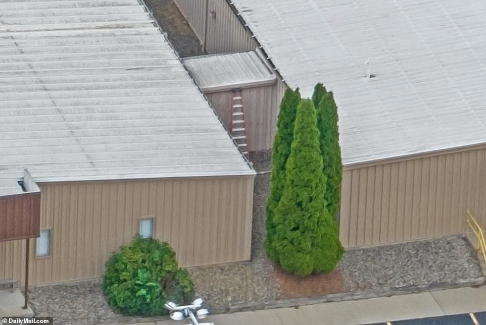 Chillingly, some images show a staircase, hidden by dense bushes, leaning against the side of the AGR building, leading directly to the roof.