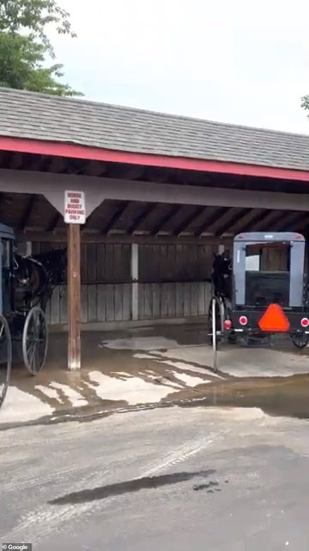 Traditional Amish members are not allowed to drive cars and choose to use carriages or walk. Most of their income comes from farming and construction.