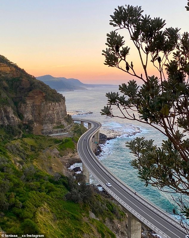 The individual was reportedly on the famous Sea Cliff Bridge (pictured) near Wollongong when Hynes intervened and helped save his life.