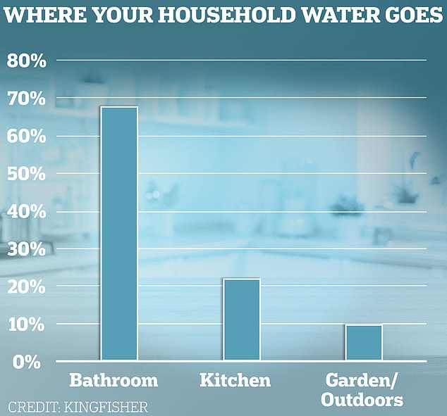 Down the drain: Most of the water used in homes goes to the bathroom, followed by the kitchen.