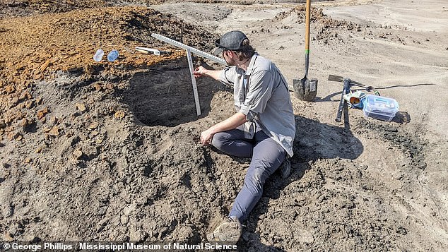 The most complete dinosaur fossil ever discovered in Mississippi is now known to belong to the hadrosaur family, but only 15 percent of it has been safely unearthed. Researcher Derek Hoffman (above) is turning to 3D forensic bone analysis to figure out the exact species of hadrosaur.