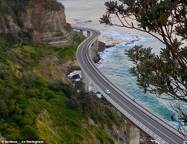 The individual was on the famous Sea Cliff Bridge (pictured) near Wollongong when Hynes and assistant trainers Steve Price and Daniel Holdsworth intervened.