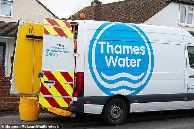 Capital punishment: Thames Water, which supplies London and parts of the Home Counties, could be renationalised if it fails to comply with strict new plans from water regulator Ofwat