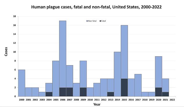 This chart shows recorded plague cases and deaths by year since 2000.