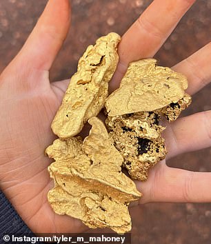 The 146-gram nugget was discovered in the top layer of soil in the bush.