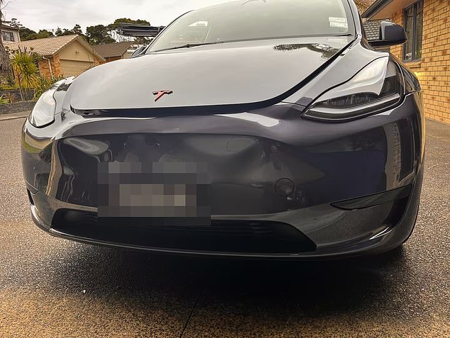 Although Mr Robinson's $80,000 Tesla was still drivable, he said he still believes the driver should face the consequences.