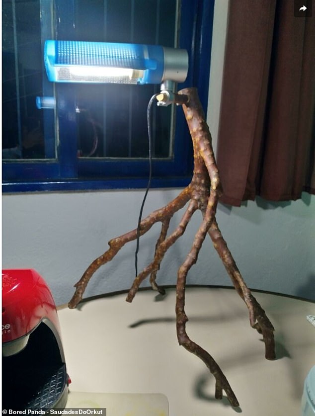 Trees and trees! A Brazilian carpenter found a creative solution when his lamp base broke