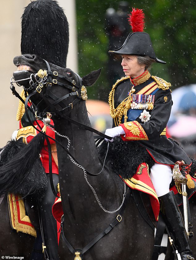 The visit comes after the Princess Royal was rushed to hospital after suffering a minor head injury while at her Gatcombe Park estate in Gloucestershire. She is seen on horseback during the Royal Guard parade in London on June 15 before her accident.