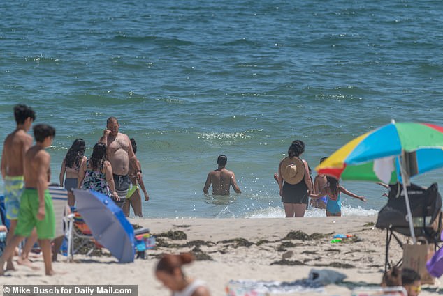 In 2022, at least six people were bitten or injured by sharks on New York beaches