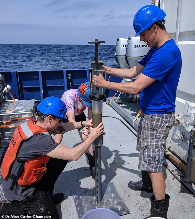 Scientists used sediment samples taken from North Carolina and Florida (pictured) to find out how strong the Gulf Stream would have been during the last Ice Age. This revealed that global currents are very sensitive to climate change.