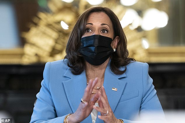 The vice president kicked off a roundtable discussion with disability advocates in 2022 by saying, 'I'm Kamala Harris, my pronouns are she and her, I'm a woman sitting at the table in a blue suit.'