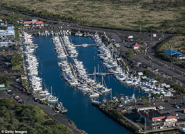 Three vehicles have sunk in the water at Honokohau Small Boat Harbor (pictured) in Kailua-Kona, Hawaii, in just over a year.