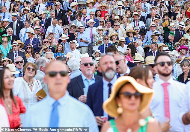 Crowds gather to watch the races at the Chichester meeting