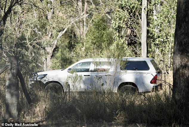 Pictured above is one of nine police cars that arrived at the property on Thursday.