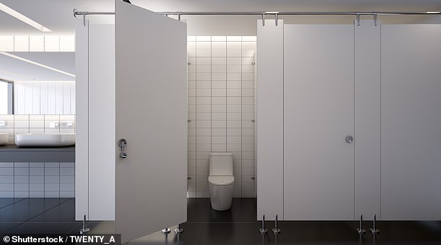 The worker said she was waiting for a group of girls (believed to be in grades six to eight) who were inside one of the toilets to come out so she could clean the area (file image)