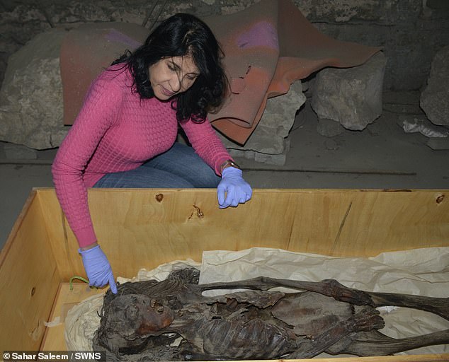 The mummy was first discovered in 1935, when an archaeological expedition unearthed a wooden coffin located beneath the tomb of the architect Senmut, who died in 1464 BC.