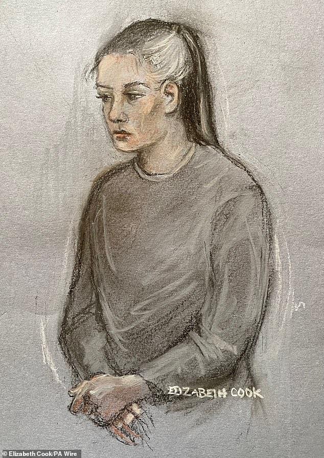 De Sousa Abreu (pictured, in a sketch made by a court artist) pleaded guilty to one count of misconduct in public office and was released on bail ahead of her sentencing in November.