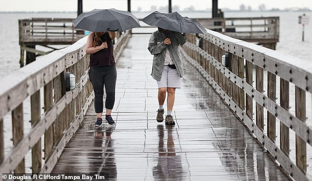 The system is currently dumping rain on Hispaniola, Puerto Rico and the Virgin Islands, but could soon target the Sunshine State (pictured: Rain storm at Veteran's Memorial Marina Park on Thursday, July 11, 2024, in downtown Safety Harbor)