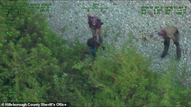 Aerial footage then shows officers leading Wright out of the woods and handcuffing him.