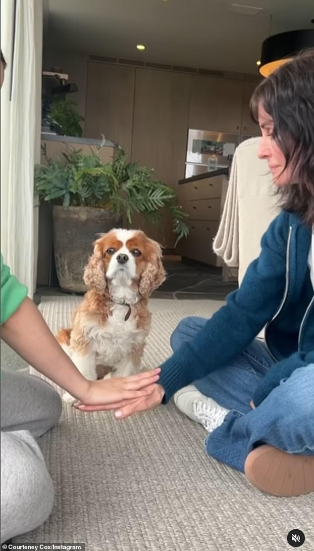 The Born in the USA video star's dinner comes after she attempted the viral Paws In challenge with her cute King Charles Cavalier Spaniel Lily