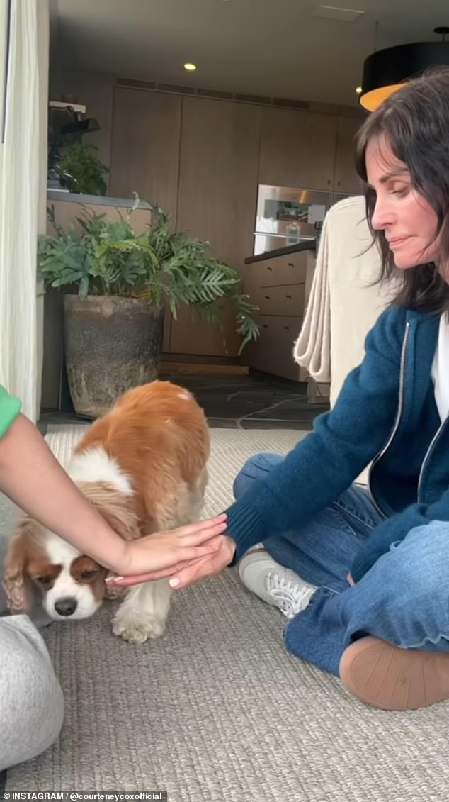 In a short video clip shared on Instagram, Courteney and a friend sat on the floor with Lily.