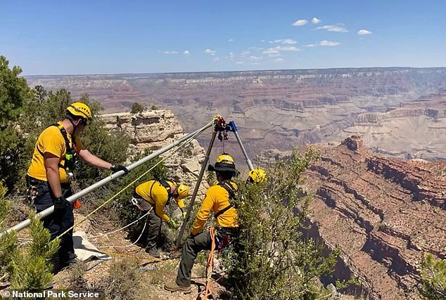 Grand Canyon spokeswoman Joelle Baird told AZ Family that Mejia's rescue mission was 