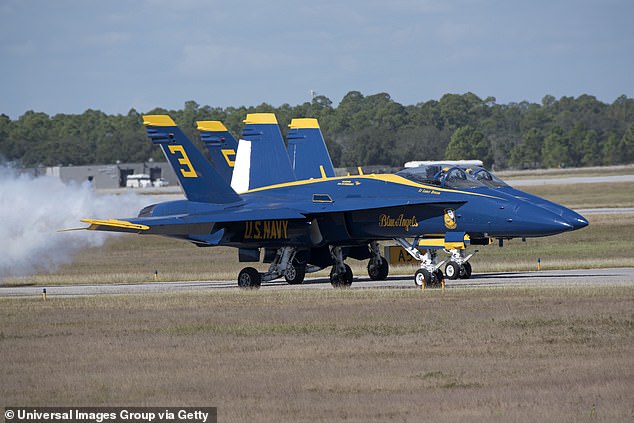 The iconic US Navy display team was created in 1946, but Lebegue says the carbon emissions emitted by the planes are too bad for the planet.