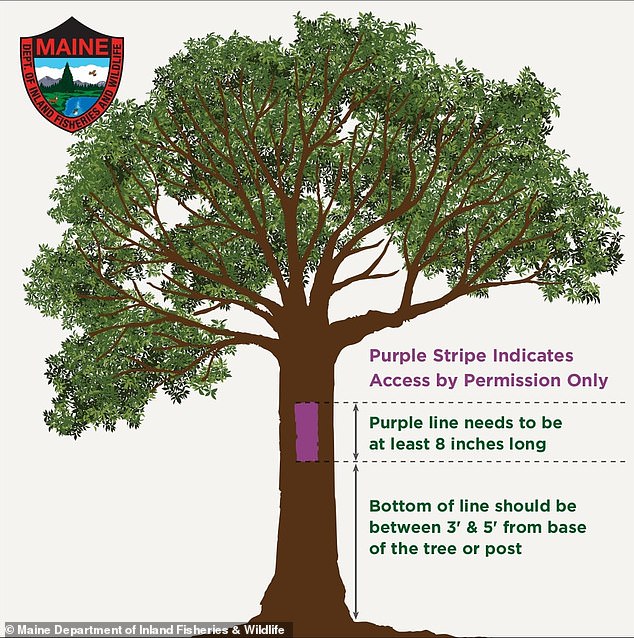 Almost all states with these laws also regulate the size of the markings on trees or poles. Above is how Maine regulates them.