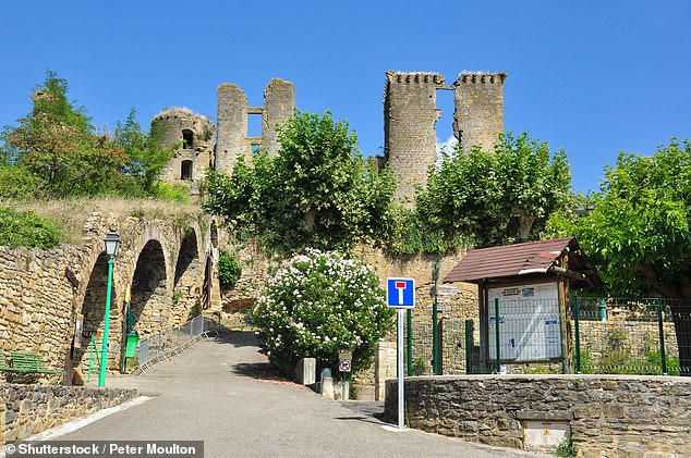 The castle's current structural problems mean it cannot accommodate large crowds to help with fundraising.