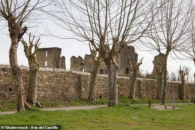 Despite the castle's charm and history, Mr. Tisseyre is willing to offer the site to anyone willing to take it off his hands.