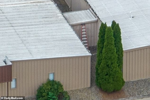 A staircase hidden by dense bushes leads to the roof of the AGR building where Crooks shot Donald Trump