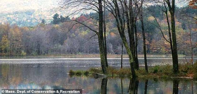 Most were closed due to an excess of bacteria or a harmful cyanobacteria bloom, and 29 of those were due to bacteria (pictured: Lake Clarksburg)