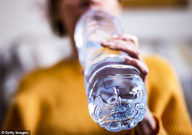 New research shows that microscopic fragments resulting from plastic degradation caused by UV radiation or the result of a knocked-over bottle are ubiquitous (file photo)