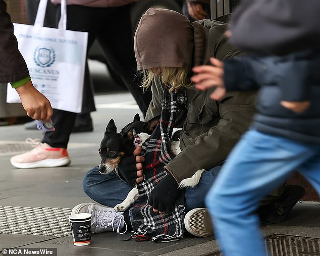 Other countries, such as the UK, have protections in place to prevent young people from becoming homeless (file image)