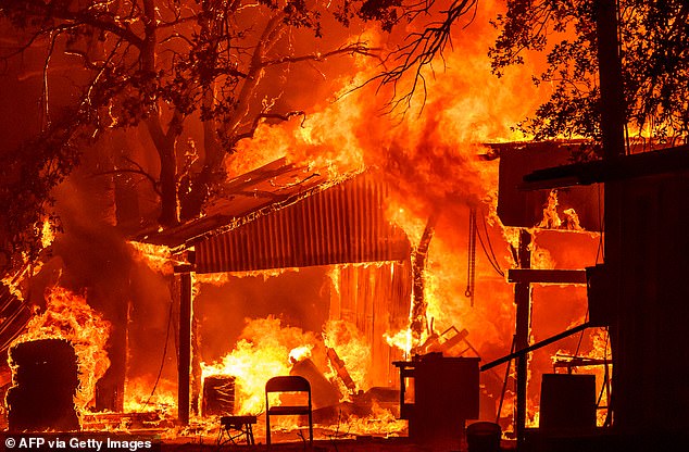 The Park Fire, which started in Chico on Wednesday, has grown into a 307,368-acre behemoth as it rages across two counties in Northern California.