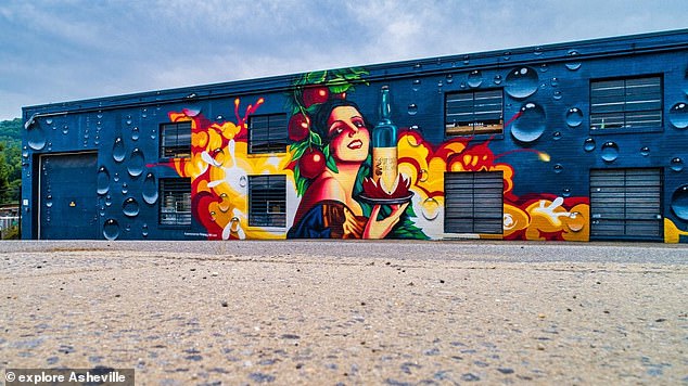 Asheville has an electrifying art scene that is reflected in the streets in the form of stunning murals in its South Slope Cultural District.