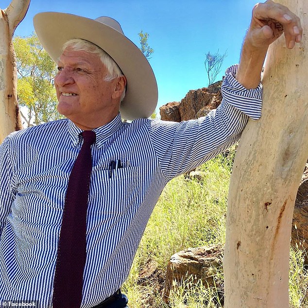 MP Bob Katter has called for an urgent culling of crocodiles in the north of the state.