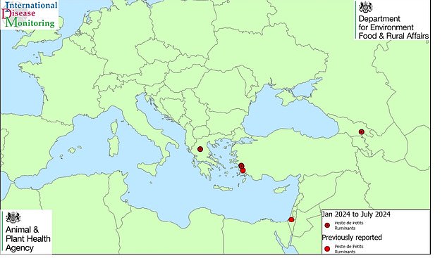 This map, from the Department for Environment, Food and Rural Affairs, shows where PPR has been reported across the European region; red dots with a black slash show outbreaks so far this year, while solid red dots show previous incidents.