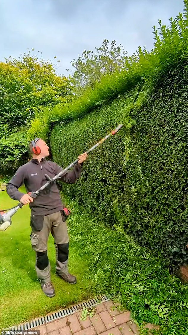 In the short clip, he is seen trimming an overgrown hedge growing in the garden and deliberately leaving the top of the hedge, which would face the neighbour's garden, alone.