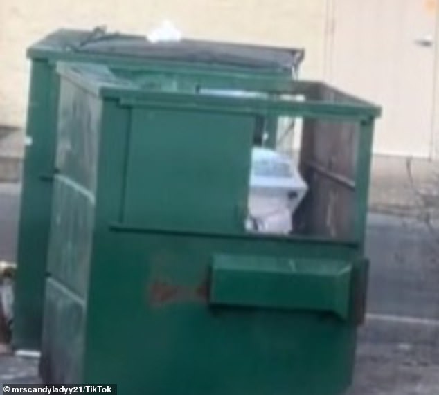 TikTok captured the moment the man appeared to be emptying bins full of people's mail.