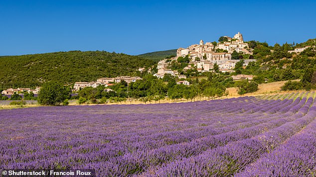 According to one Reddit user, the smell of flowers in the French countryside is a “delight.” The image shows lavender fields in Provence.